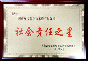 江南体育在线(中国)官方网站董事常务副总经理劳嘉获“社会责任之星”称号
