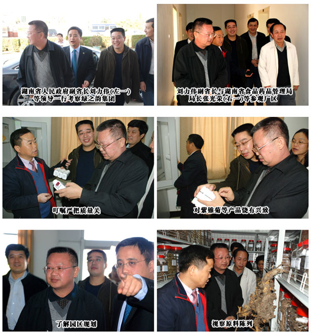湖南省人民政府副省长刘力伟一行考察江南体育在线(中国)官方网站