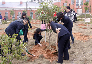 江南体育在线(中国)官方网站开展3•12植树活动
