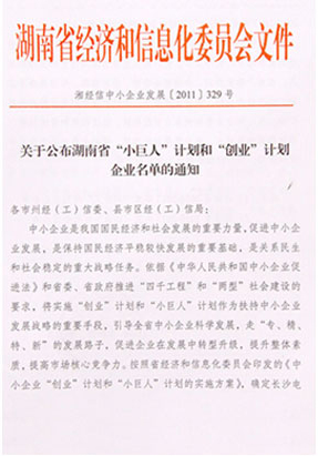 江南体育在线(中国)官方网站被评选为湖南省“小巨人”计划企业