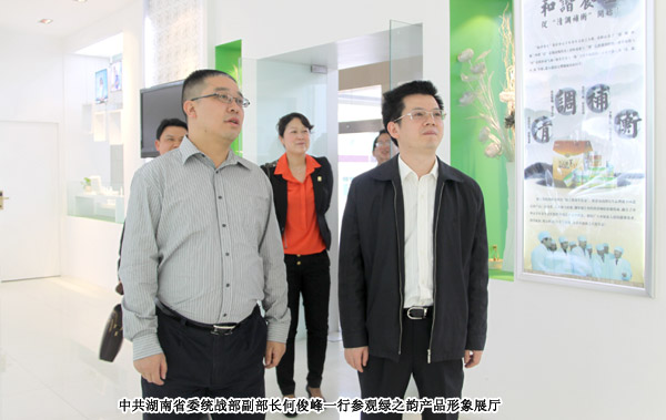 中共湖南省委统战部副部长何俊峰一行莅临江南体育在线(中国)官方网站考察调研