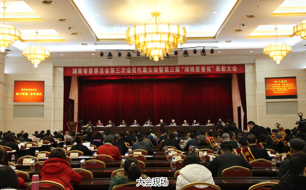 胡国安董事长当选湖南省慈善总会副会长，江南体育在线(中国)官方网站荣膺“湖南省慈善奖”殊荣