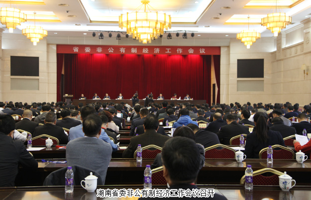 江南体育在线(中国)官方网站董事长胡国安出席湖南省委非公有制经济工作会议，并接受湖南卫视、经视采访
