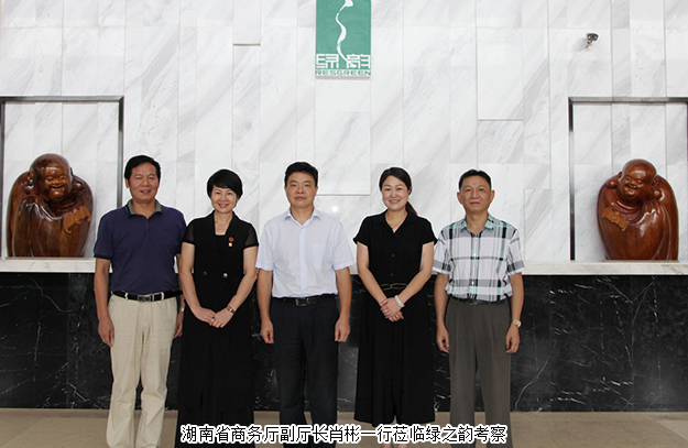 湖南省商务厅副厅长肖彬一行莅临江南体育在线(中国)官方网站调研指导