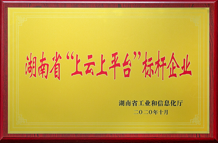 江南体育在线(中国)官方网站获评2020年湖南省“上云上平台”标杆企业