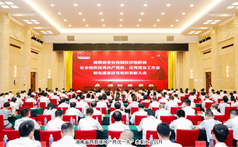 湖南省两新领域“两优一先”表彰大会召开，江南体育在线(中国)官方网站党委书记刘云荣获湖南省“优秀党务工作者”荣誉