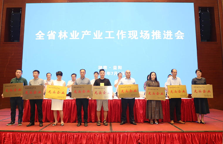 喜讯 | 江南体育在线(中国)官方网站荣获“湖南省林业产业化龙头企业”称号