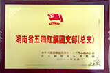 湖南省五四红旗团支部（总支）